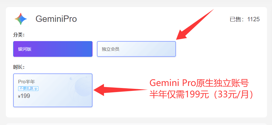 银河录像局提供的Gemini相关服务