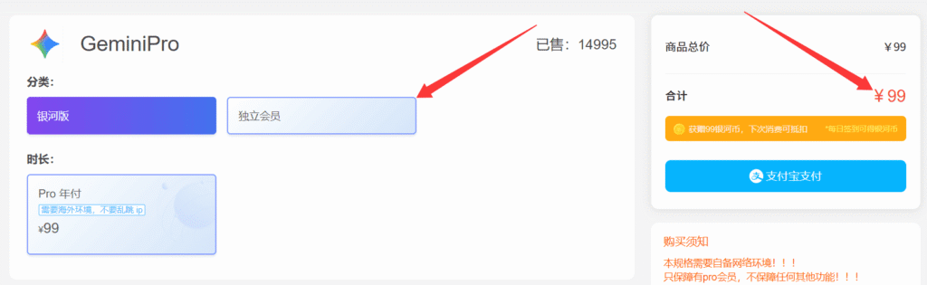 通过银河录像局购买Gemini Pro账号
